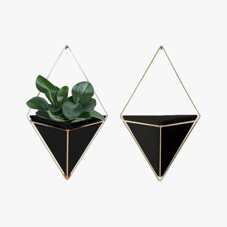Planter for wall